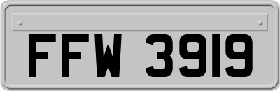 FFW3919