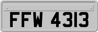 FFW4313