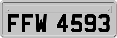 FFW4593