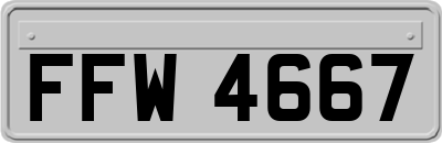 FFW4667