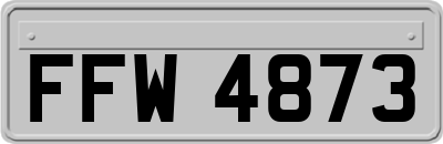FFW4873