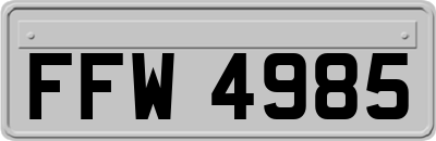 FFW4985