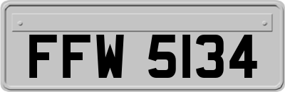 FFW5134