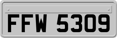 FFW5309