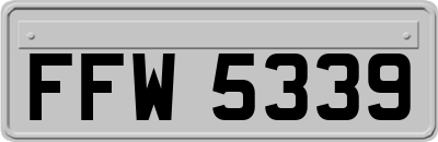 FFW5339