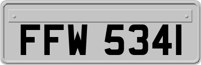 FFW5341