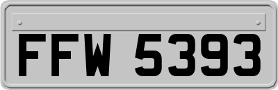 FFW5393