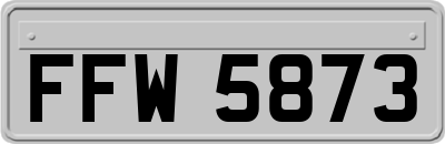 FFW5873