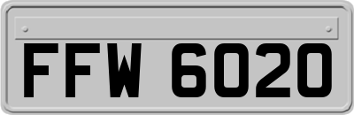 FFW6020