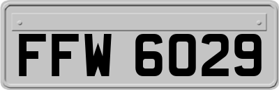 FFW6029