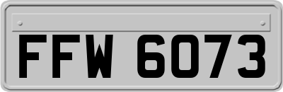 FFW6073
