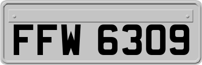 FFW6309