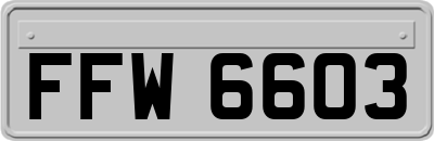 FFW6603
