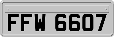 FFW6607