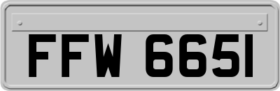FFW6651