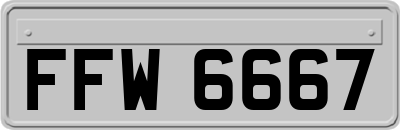 FFW6667