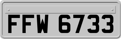 FFW6733