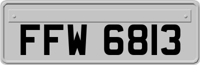 FFW6813