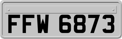 FFW6873