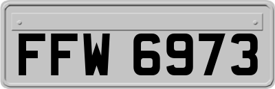 FFW6973