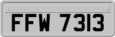 FFW7313