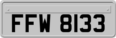 FFW8133