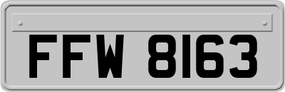 FFW8163