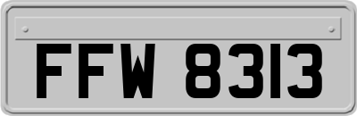 FFW8313