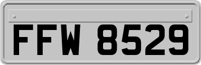 FFW8529