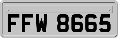 FFW8665