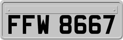 FFW8667
