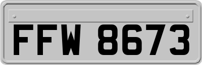 FFW8673