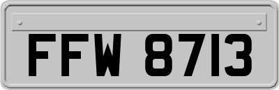 FFW8713