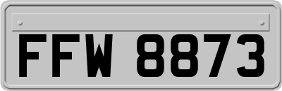 FFW8873