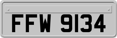 FFW9134