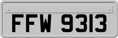 FFW9313