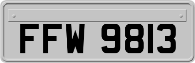 FFW9813