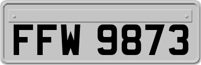 FFW9873