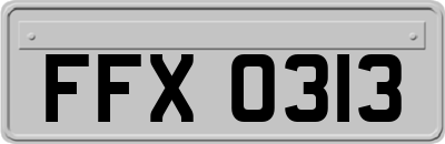 FFX0313