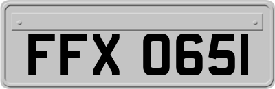 FFX0651
