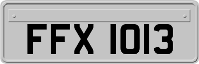 FFX1013