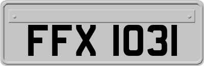 FFX1031