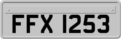 FFX1253