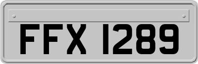 FFX1289