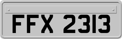 FFX2313