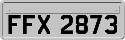 FFX2873