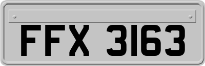 FFX3163