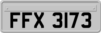 FFX3173