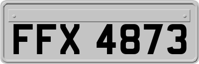 FFX4873