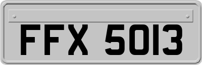 FFX5013